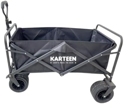 Beach wagon wild wolf offroad camping egypt fayoum siwa wahat white desert